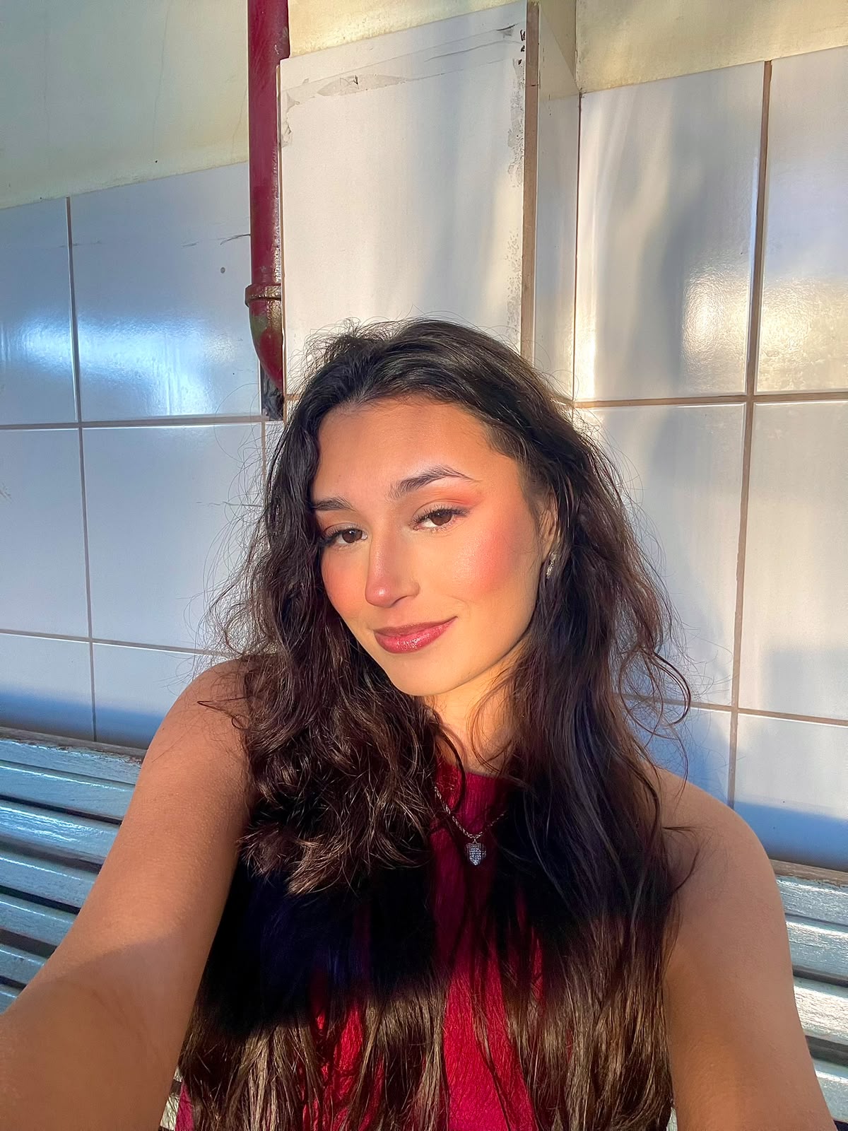 Stefany Wilmes